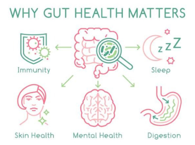 functional-nutrition-coach